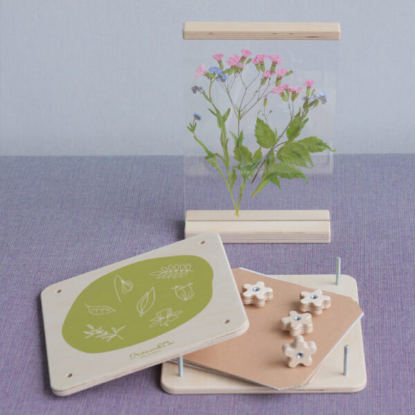 Flowers and leaves press